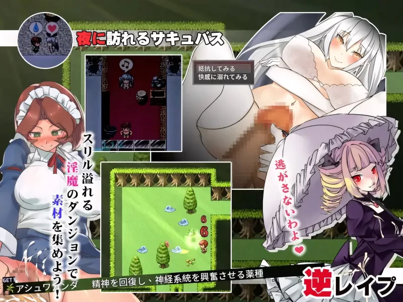 [PC/佳作/官中/逆推/魔物娘]魅魔的囚笼 Cage of the Succubi [1+420M][百度盘]