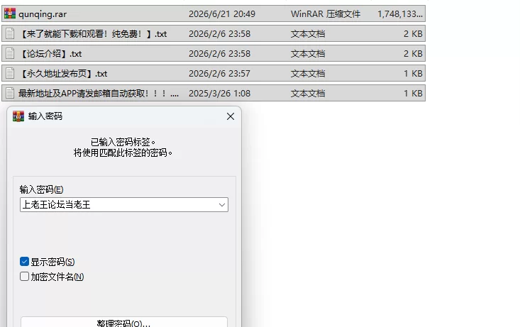 PC[动作ACT/巨乳] Dusk City – 沉静的灯火 群青的魔女Steam官中步兵版+DLC+存档 [1+2.2G][百度盘]