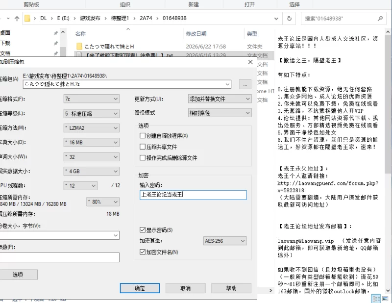 [SLG/PC/AI汉化]在被炉里和妹妹偷偷H こたつで妹と隠れてH [2+266M][多种下载方式]