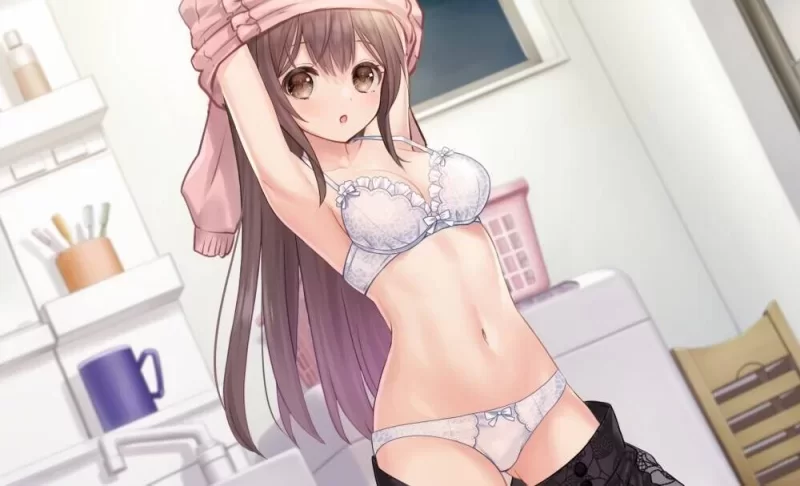 [更新PCSLG汉化] 两人生活 同居生活 ふたりぐらし v1.682 [5G] [1+5G][百度盘]