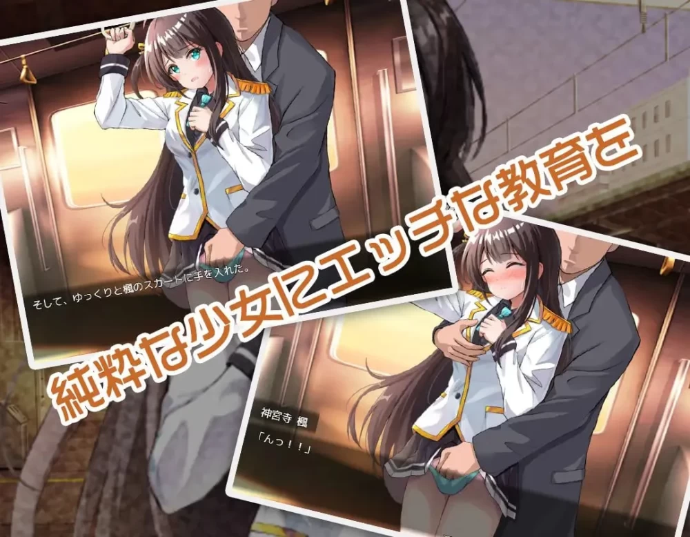 PC+安卓[RPG/调教]JK -纯洁少女教育课程- JK -純潔少女教育課… [1+329MB][百度盘]