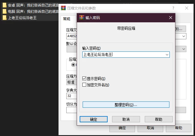PC+安卓–回声：我们告诉自己的谎言 Echoes: The Lies We Tell Ours… [1+7.7G][百度盘]