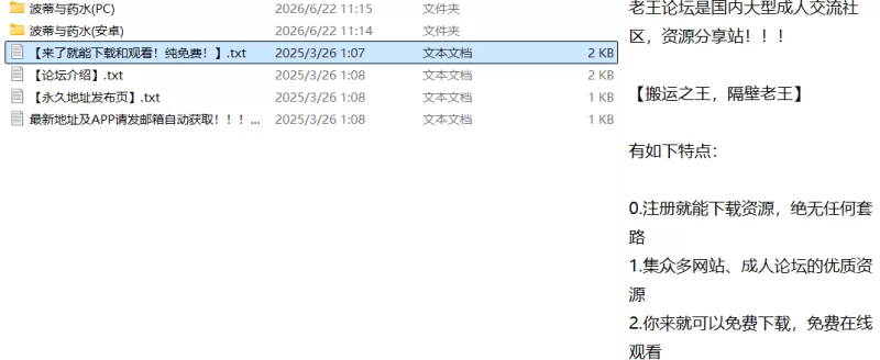 [双端/PC/安卓]药师波蒂与秘密药水 [1+649M][百度盘]