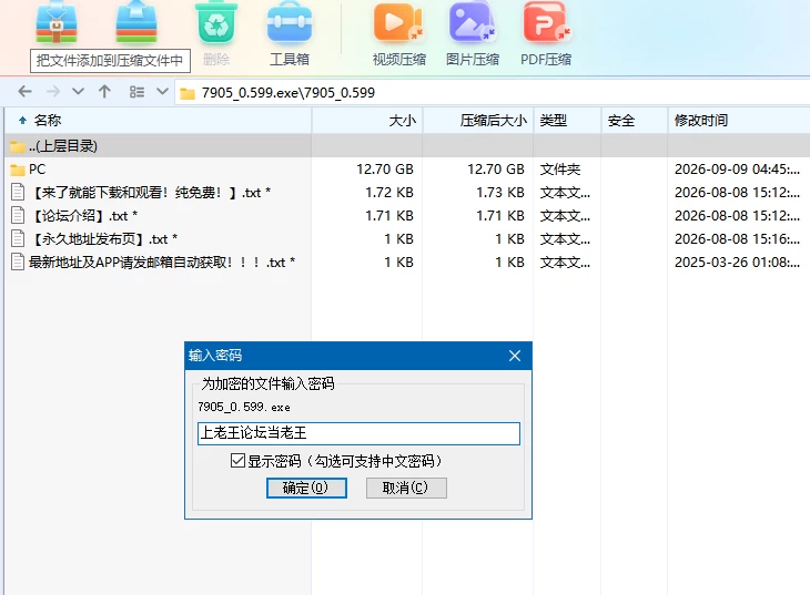 【自购】面部模拟器0.599AI汉化版+120款MOD【PC+互动】True Facials [5+12.5G][多种下载方式]