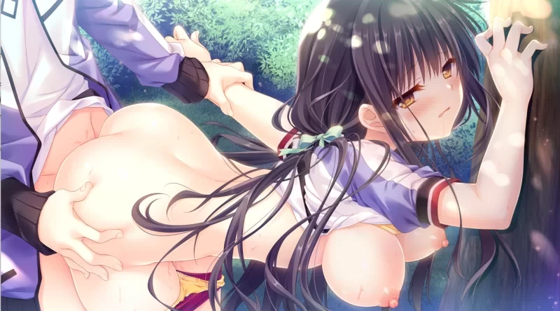 [PCADV汉化] 少女＊领域 オトメ＊ドメイン CG[3G] [1+3G][百度盘]