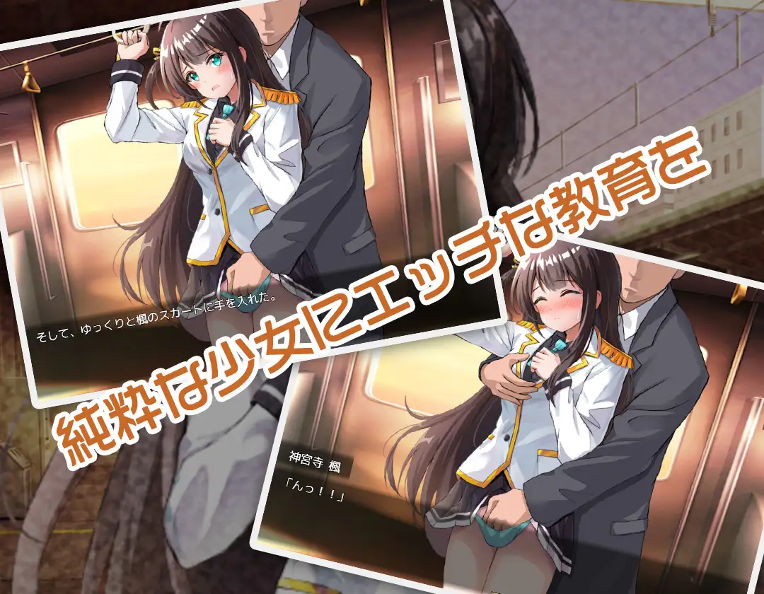 双端[RPG/调教]JK -纯洁少女教育课程- 内嵌AI汉化+作弊码 [2+500m][多种下载方式]