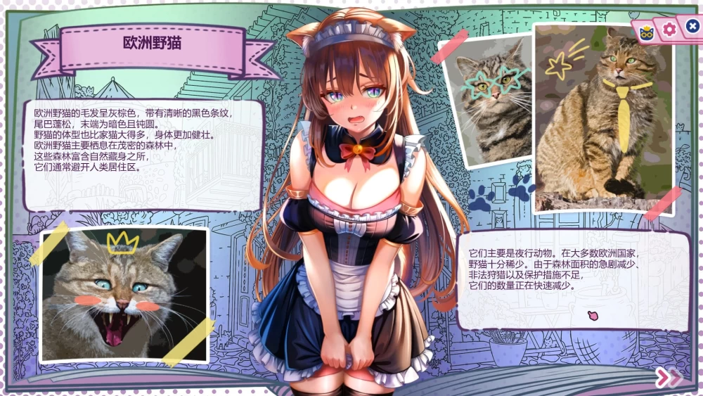 【SLG/官中/PC/动态/无码/兽耳】猫娘百科：寻找她的小尾巴 [1+2g][多种下载方式]
