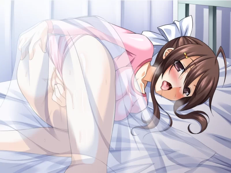 [PCADV汉化] TS魔法少女闪 1+2 存档[5G] [1+5G][百度盘]