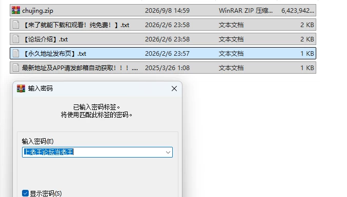 PC[互动3D/露出调教/动态] 今天起我就是出境检查官！！可疑女性一律逮捕AI汉化版 [1+6.2G][百度盘]