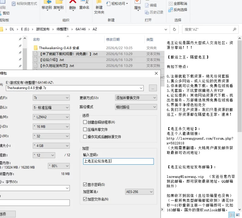 【欧美SLG/汉化/PC+安卓】觉醒 The Awakening v0.4.8 [2+7.23G][多种下载方式]
