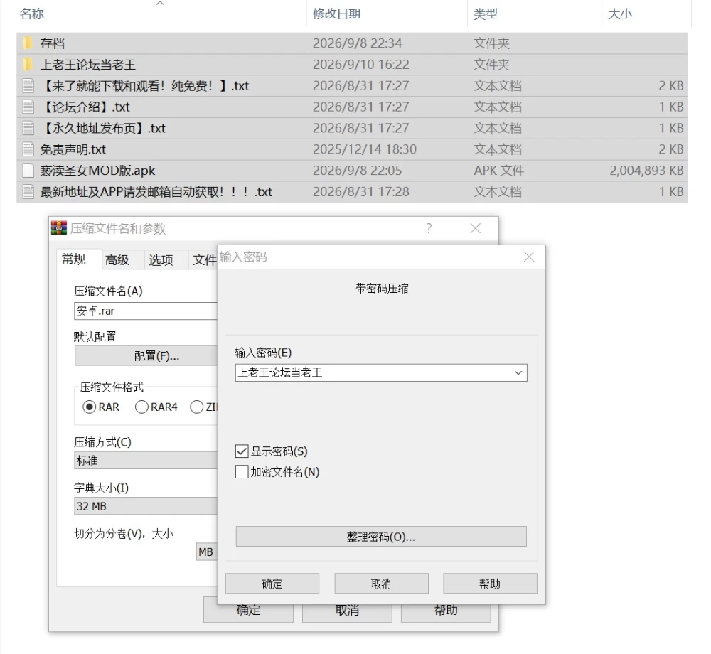[更新/双端直装RPG/汉化/有CV/MOD]亵渎圣女 – Unholy maiden v1.0.10MOD+存档 [2+3.5G][多种下载方式]
