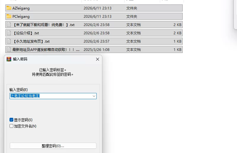 PC汉化[日式RPG] 爆炎雷钢雷王牙v2.04 内嵌AI汉化版+全回想存档 [1+860M][百度盘]