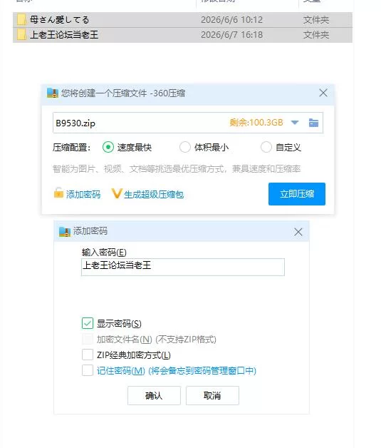 pc我爱妈妈 ～赌上人生攻略母亲的大作战～ 母さん愛して… [1+506m][百度盘]