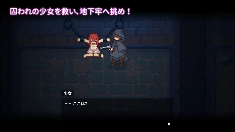 【PC】[ACT/日式/像素/动态] 被囚禁的莉莉 官方中文版 [1+375M][百度盘]