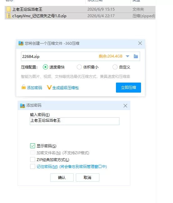 记忆丧失之母1.0【PC [1+411m][百度盘]